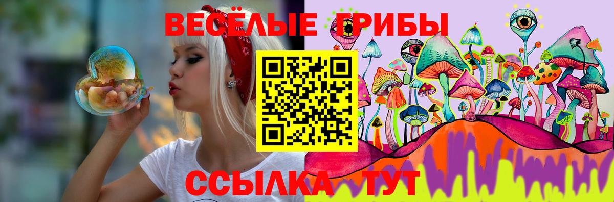 как найти закладки  Галлюциногенные грибы мухоморы  Вход с VPN  Сальск 